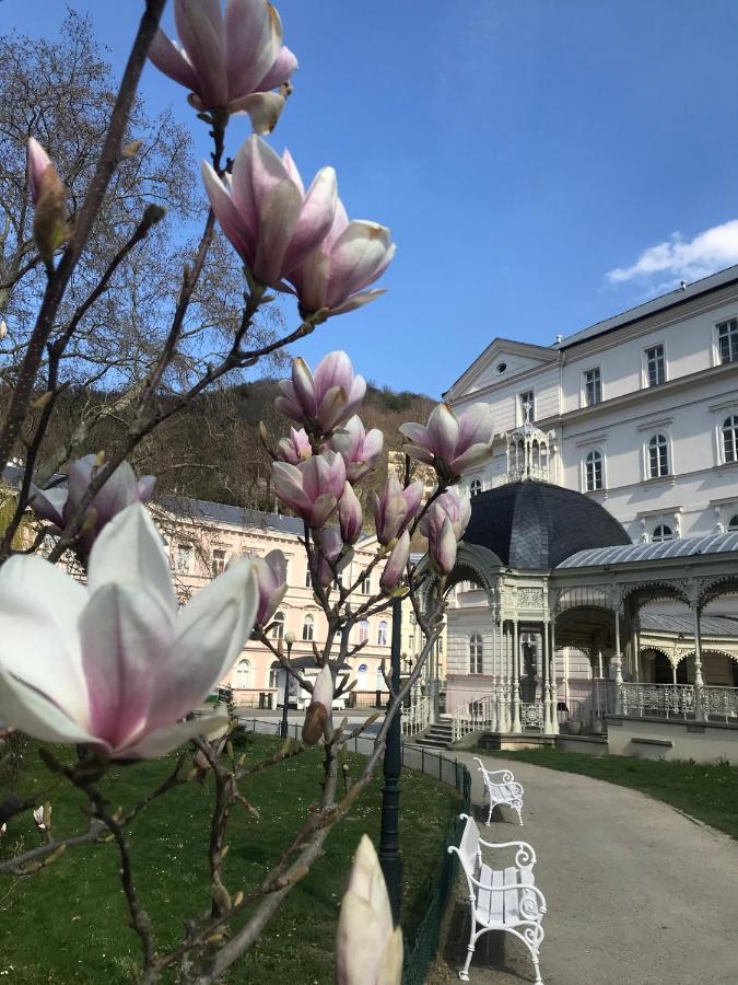 Apartment Sadova Karlsbad Exterior foto